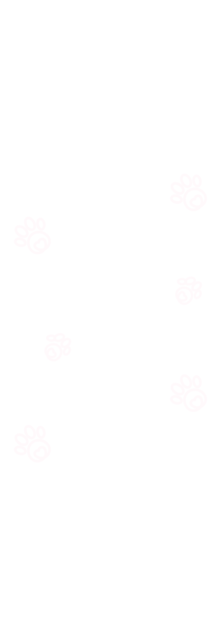 Transparent background with white paw print drawings.